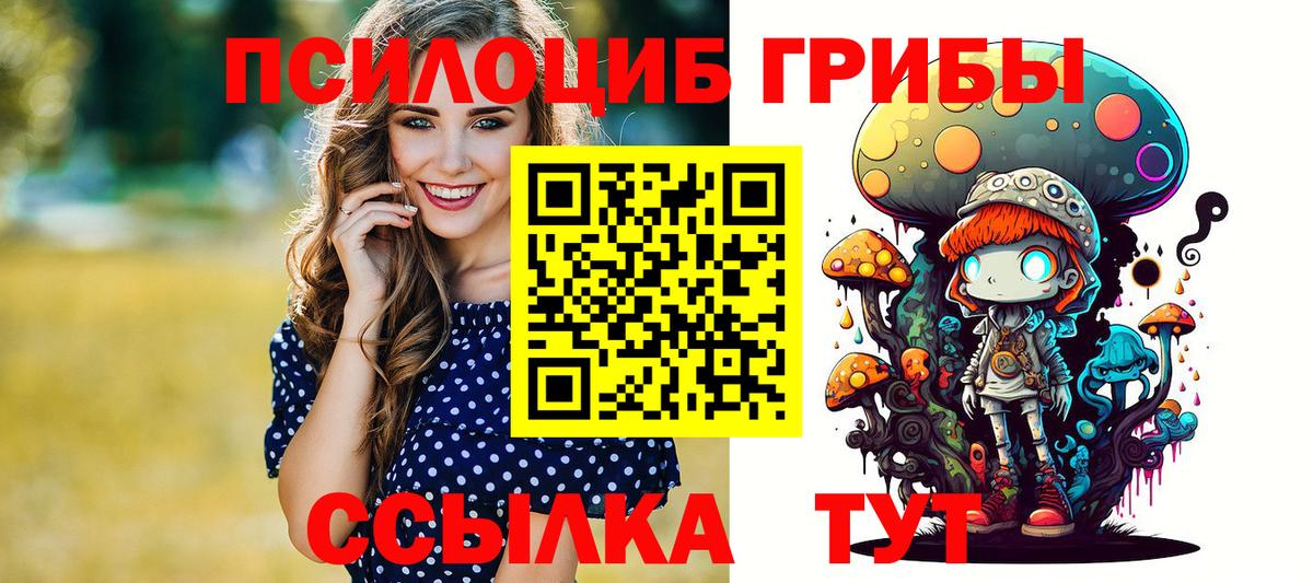 Псилоцибиновые грибы прущие грибы Строитель