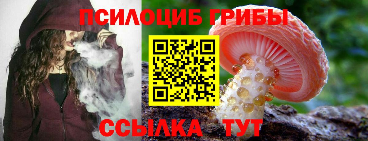 Псилоцибиновые грибы MAGIC MUSHROOMS  Вход с VPN  Строитель  Псилоцибиновые грибы прущие грибы 
